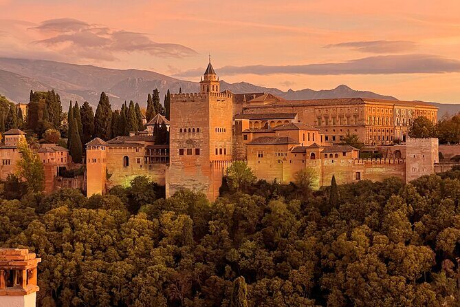 Alhambra Private Tour with tickets - A Closer Look at the Alhambra Private Tour Experience