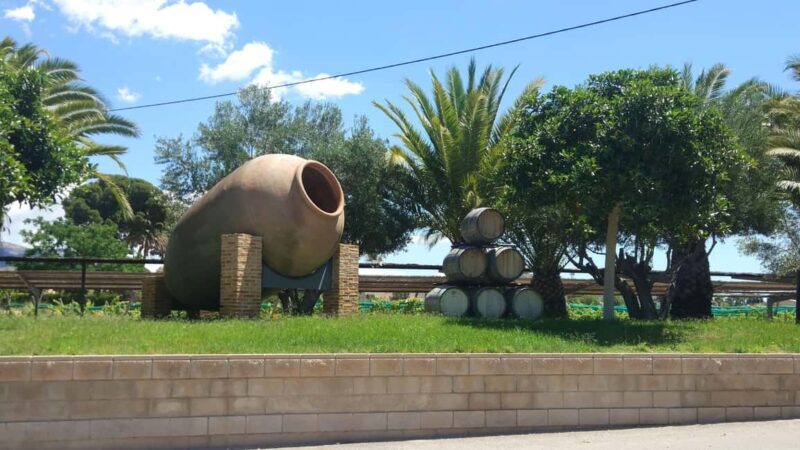 Alicante and Elche: Guided tour of winery + wine tasting / private transportation - A Closer Look at the Experience