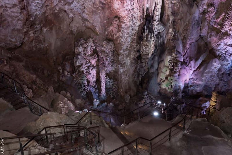 Alicante: Canelobre Caves & Busot Tour with Local Guide - Analyzing the Value