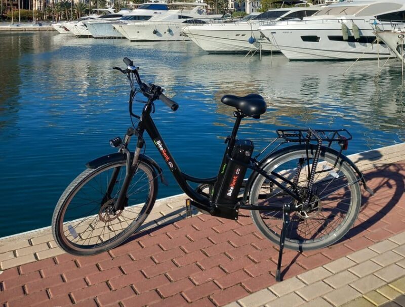 Alicante City Bike Tour - A Deep Dive into the Alicante City Bike Tour