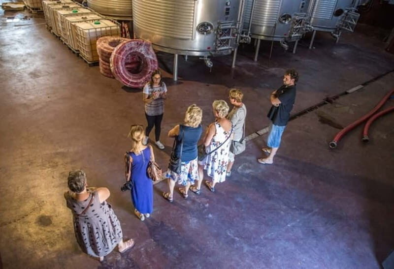 Alicante: Countryside Wine Tour with 4 Tastings - Alicante: Countryside Wine Tour with 4 Tastings – A Practical, Authentic Day Out