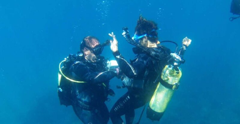 Alicante: Denia Beginners Scuba Diving Experience - Key Points