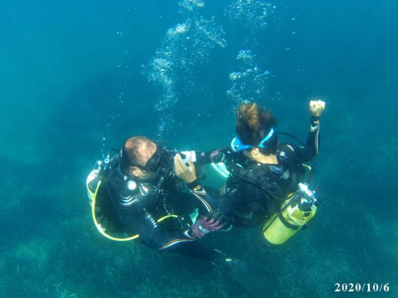 Alicante: Denia Beginners Scuba Diving Experience - What You Can Expect From the Experience