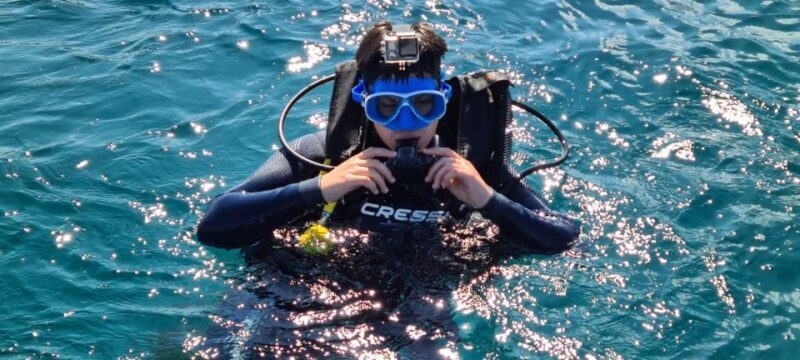 Alicante: Denia Beginners Scuba Diving Experience - The Itinerary in Detail