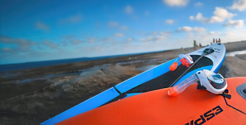 Alicante: E-Bike, Snorkeling and Paddle Surf Tour - In The Sum Up