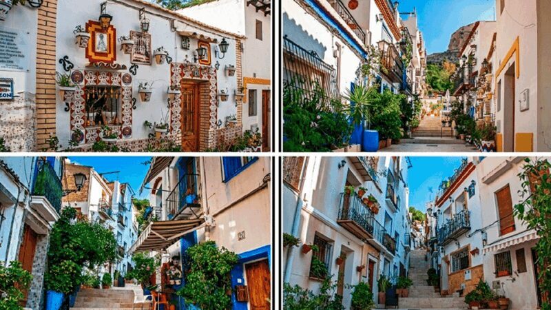 Alicante: E-Bike & Walk, Old Town Santacruz, Basilica - Exploring Alicante: What You Can Expect from the Tour