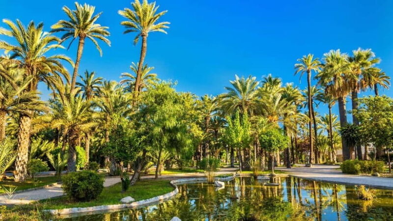 Alicante & Elche: Day Trip with visit to the Santa Bárbara Castle - Exploring Alicante and Elche: What to Expect on This Tour