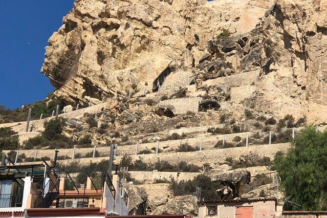 Alicante & Elche. Transport, guide and monuments. - Authentic Experiences and Highlights from Reviews
