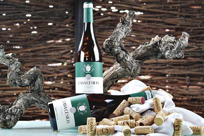 Alicante Old Winery Tour and Wine Tasting Including Transfer - Key Points