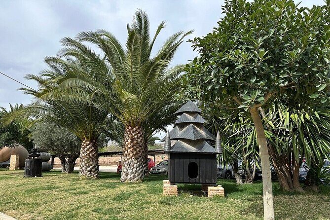 Alicante Old Winery Tour and Wine Tasting Including Transfer - Who Should Consider This Tour?