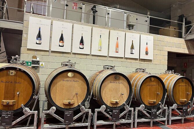 Alicante Old Winery Tour and Wine Tasting Including Transfer - The Sum Up