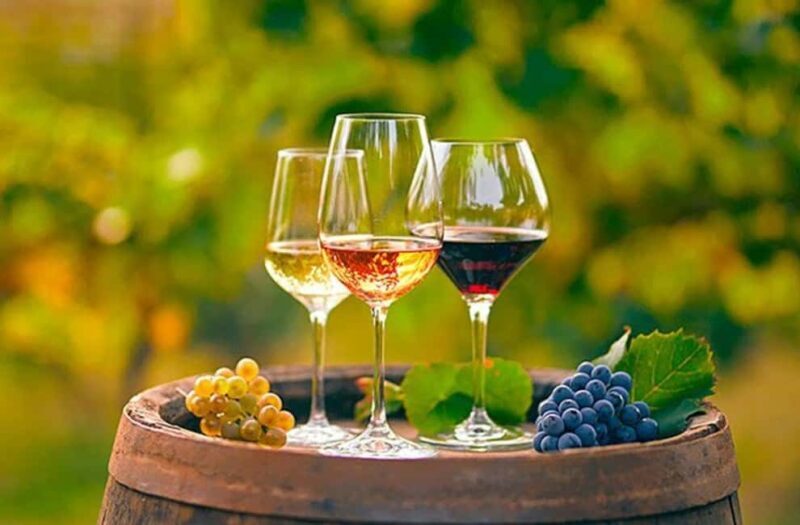 Alicante: Old Winery with Tastings & Gaudí's style of Church - The Sum Up