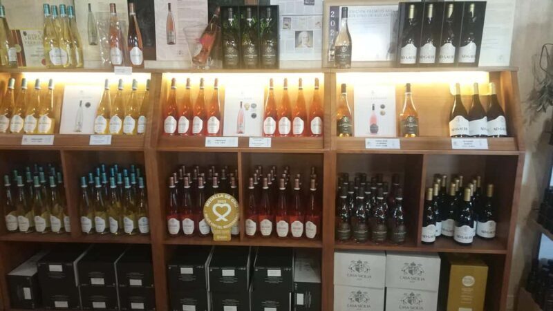 Alicante: Premium Tour of the winery. The best wines. Private transportation. - A Full Breakdown of the Experience