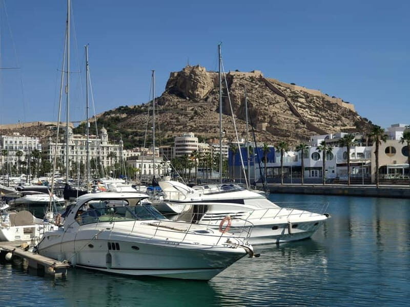 Alicante: Private Guided Tour with Transport - Why Choose a Private Guided Tour in Alicante?