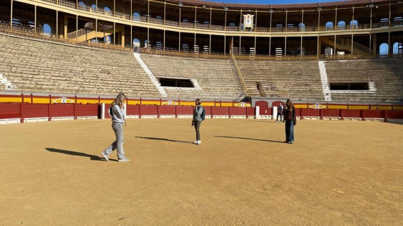 Alicante: Private Guided Visit to Alicante Bullring & Museum - The Itinerary: What You Can Expect