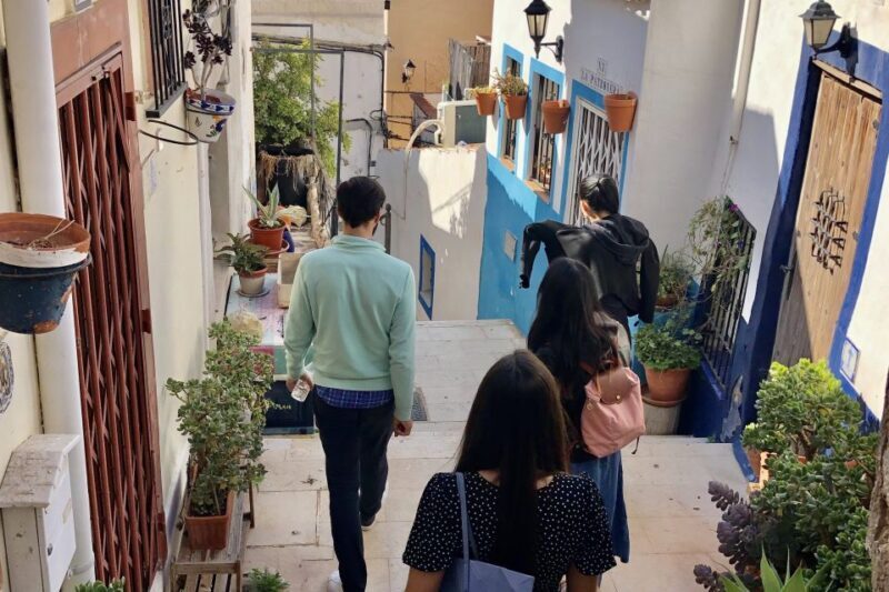 Alicante: Seven Secrets of Alicante Discovery Tour - Why This Tour Works for Travelers