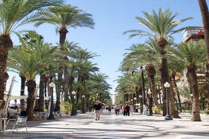 Alicante Shore Excursion: Private Walking Tour - Final Thoughts