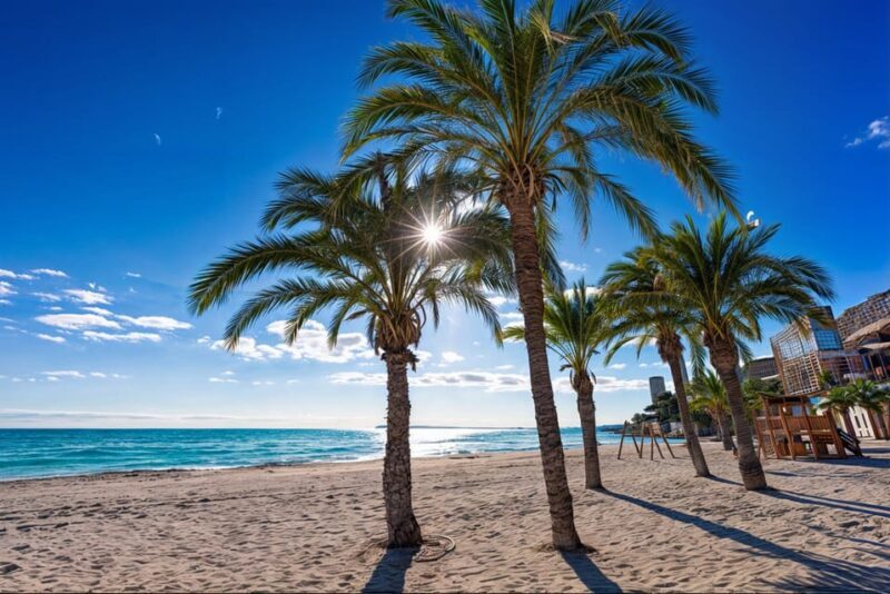 Alicante: Spot the Mediterranean by E-bike - Key Points