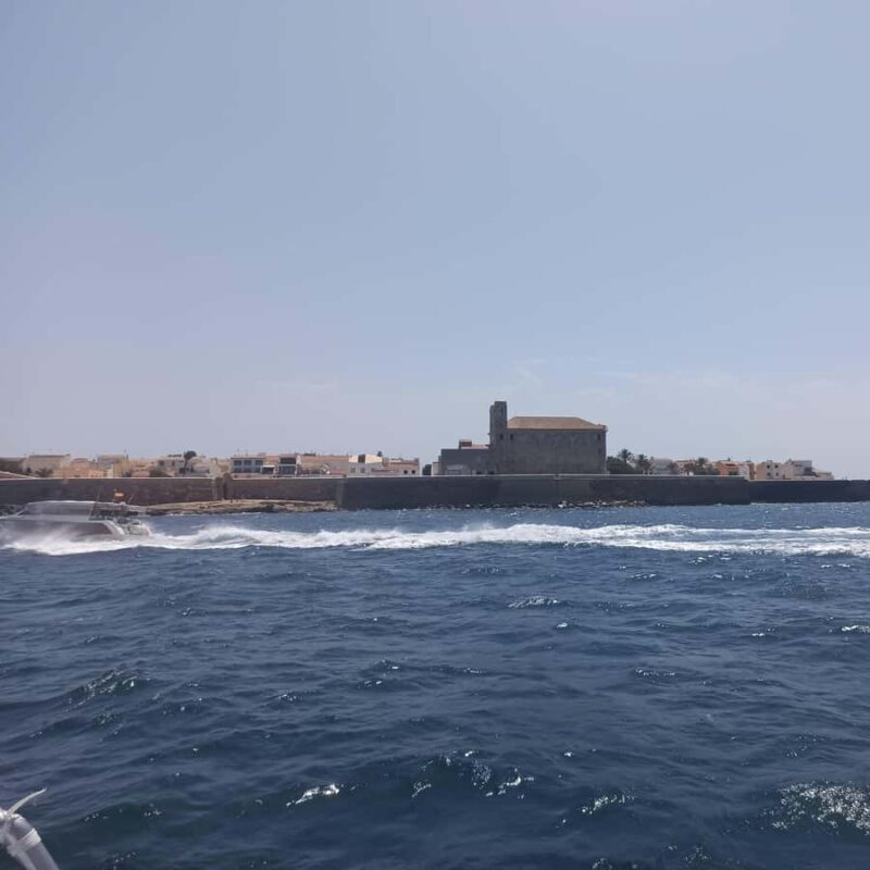 Alicante/Torrevieja: Excursion to Tabarca by ferry, Santa Pola, and Laguna Rosa - Key Points