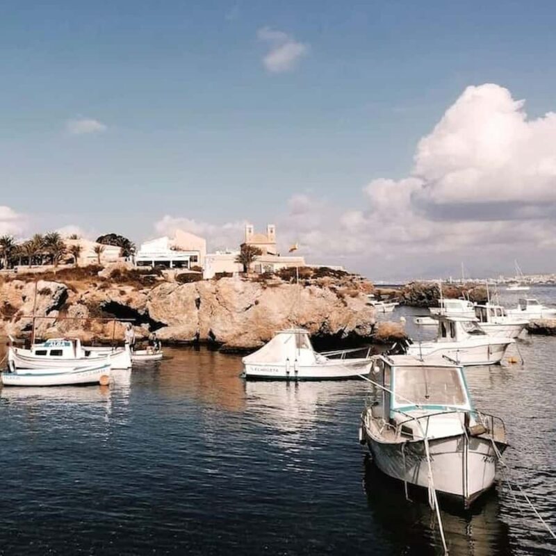 Alicante/Torrevieja: Excursion to Tabarca by ferry, Santa Pola, and Laguna Rosa - What’s Included and What to Consider