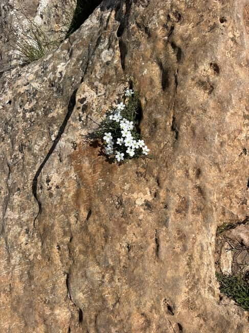 Alicante, Torrevieja Hiking Tour with Snacks - Who Will Love This Experience?