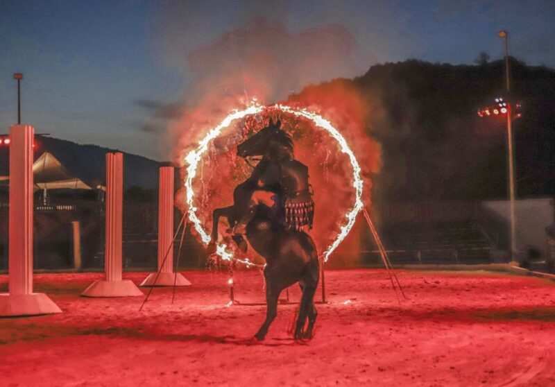 Alicante: Villajoyosa Gran Circus Maximus Entry Ticket - A Deep Dive into the Roman Spectacle Experience