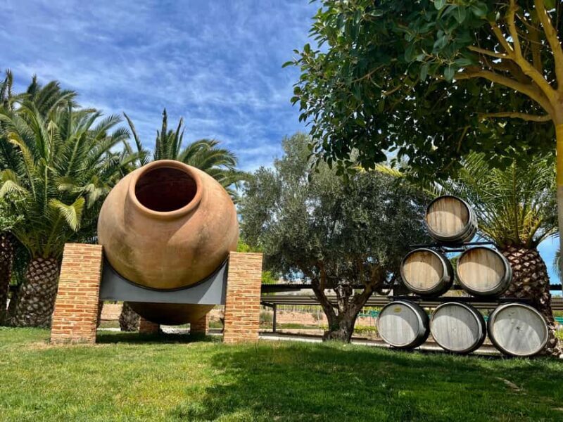 Alicante: Wine Route with 3 Tastings & La Mola Castle - Exploring the Alicante Wine Route: What to Expect