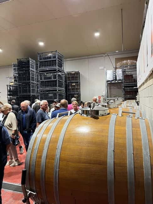 Alicante: Wine Tour and Lunch with Bodega Visit and Novelda - Key Points