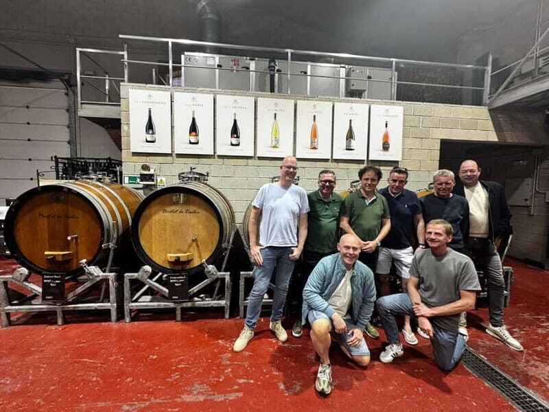 Alicante; Wine Tour Wineries, Food, and Transportation Included - Who Should Book This Tour?