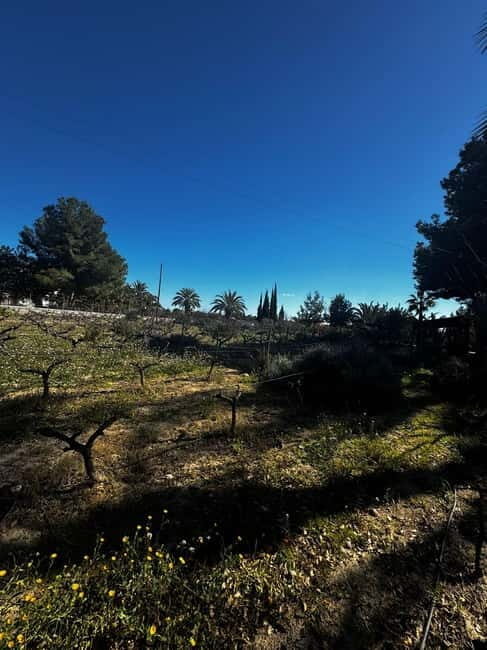 Alicante; Wine Tour Wineries, Food, and Transportation Included - Final Thoughts