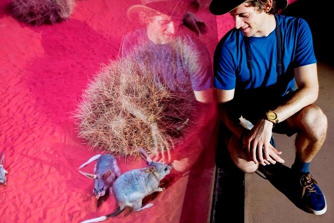 Alice Springs Desert Park General Entry Ticket - What Makes the Experience Stand Out?