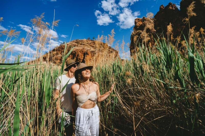 Alice Springs Tour to West MacDonnell Ranges with Lunch - Exploring the West MacDonnell Ranges from Alice Springs: A Complete Guide