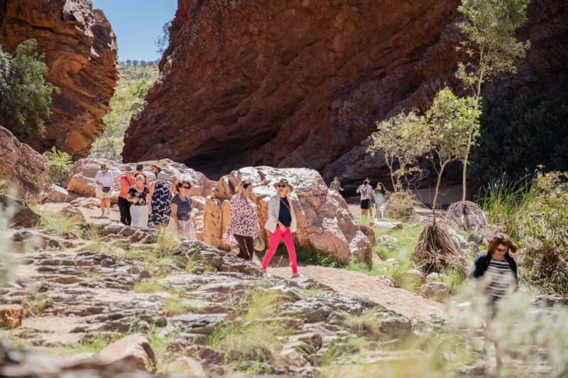 Alice Springs Tour to West MacDonnell Ranges with Lunch - The Sum Up: Is This Tour Right for You?