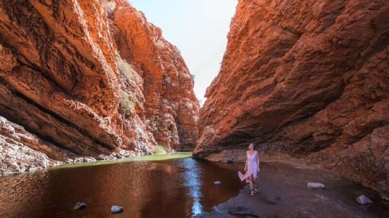 Alice Springs: Town Highlights and West MacDonnell Ranges - Exploring Alice Springs and the Outback