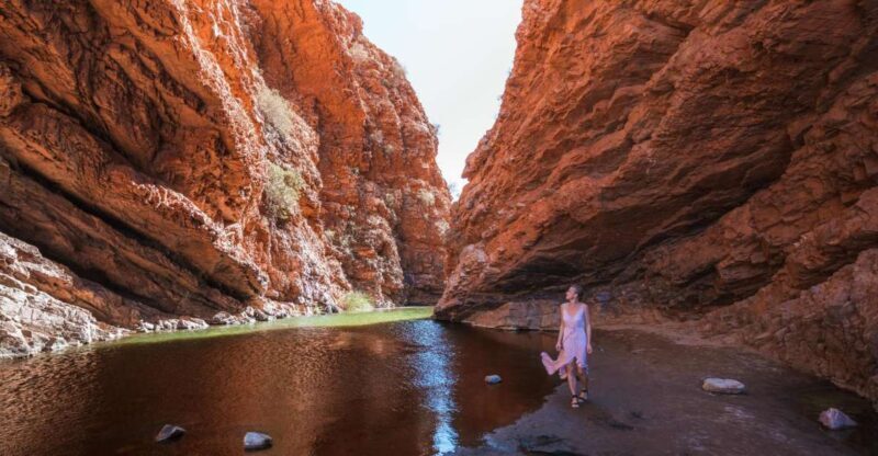 Alice Springs: Town Highlights and West MacDonnell Ranges - Morning Tea and Free Time in Alice Springs