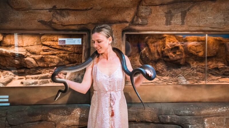 Alice Springs: Town Highlights and West MacDonnell Ranges - Who Will Love This Experience?