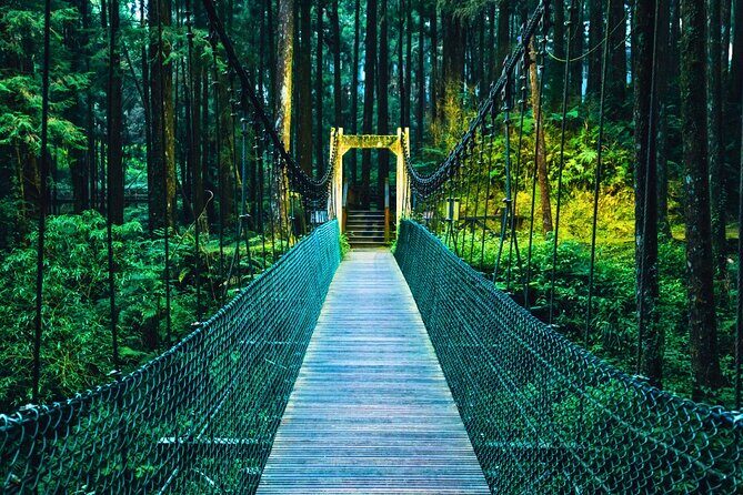 Alishan 2Day Shared Tour from Taipei - A Closer Look at the Itinerary and What You Can Expect