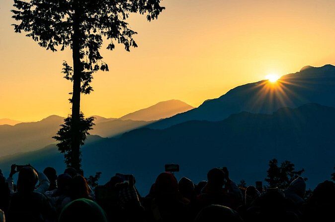 Alishan 2Day Shared Tour from Taipei - Authentic Experiences and Real Traveler Insights