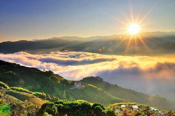 Alishan 2Day Shared Tour from Taipei - In-Depth Review: Why This Tour Excels