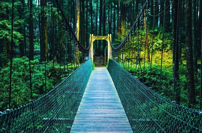 Alishan 2Day Shared Tour from Taipei - Who is This Tour Best For?