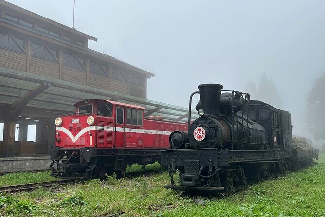 Alishan Day Tour from Chiayi (Incl. Park Entrance) - Discover the Magic of Alishan on a Day Trip from Chiayi