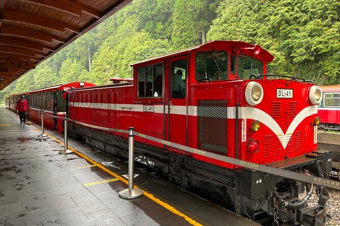 Alishan Day Tour from Chiayi (Incl. Park Entrance) - Pricing and Value