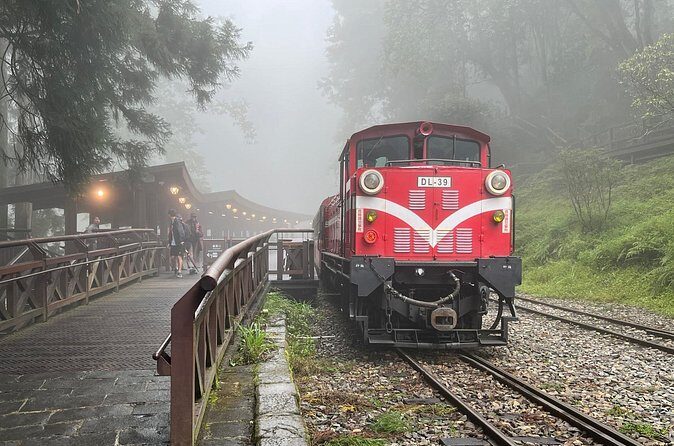 Alishan Day Tour from Chiayi (Incl. Park Entrance) - Who Should Take This Tour?