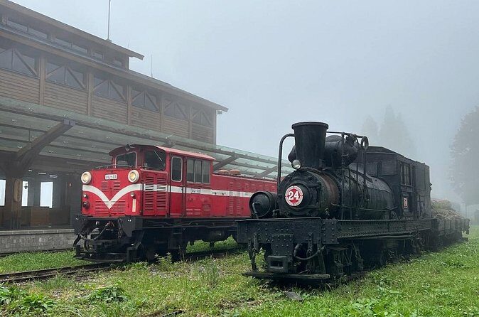 Alishan Day Tour from Chiayi (Incl. Park Entrance) - Final Thoughts