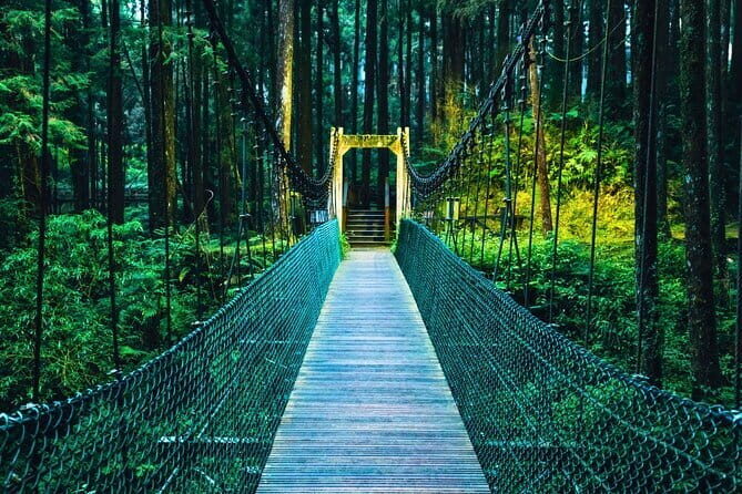 Alishan Join In Day Tour from Taichung (Incl. Park Entrance) - Key Points