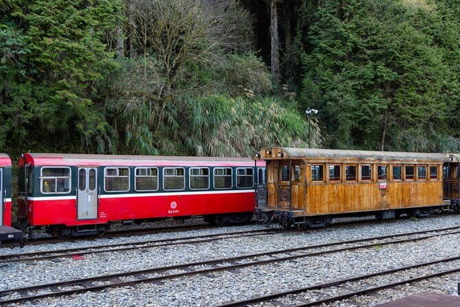 Alishan Join In Day Tour from Taichung (Incl. Park Entrance) - Who Will Love This Tour?