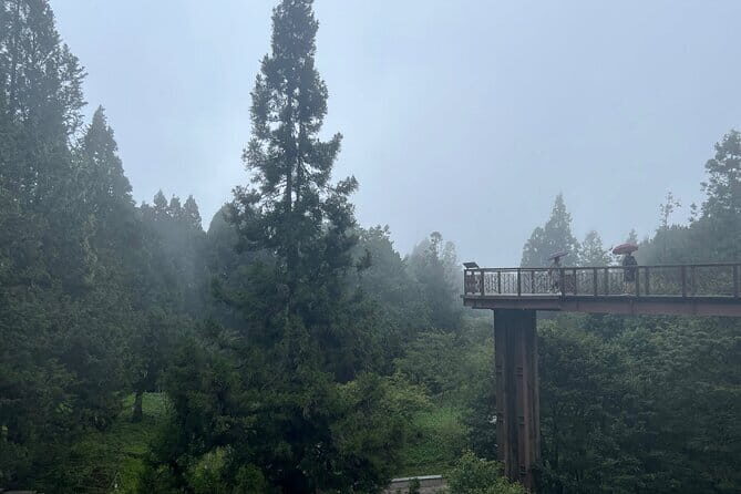 Alishan, Sun Moon Lake, Taichung Three Days Tour from Taipei - Who Is This Tour Perfect For?