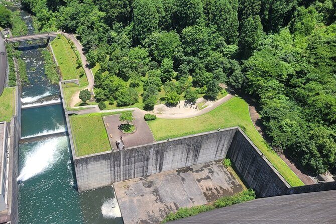 All Attack on Titan Sites and Forest Adventure Private Tour - Key Points