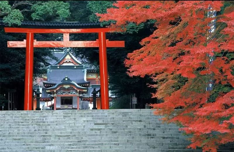 All checked-in Kagoshima Kirishima Line: Boutique small group one-day tour/Myth Park + Shrine Blessing + Maruo Waterfall + Takachiho Ranch Healing Tour - Myth Park: big views and a flexible lunch stop