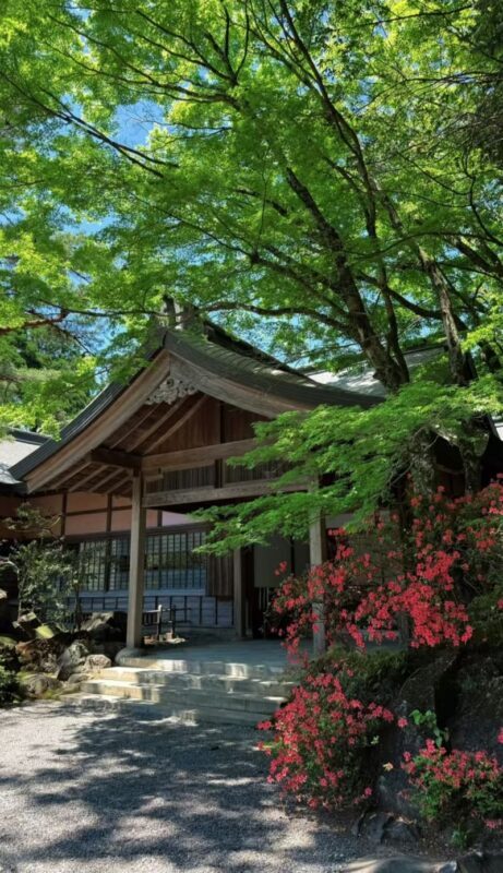 All checked-in Kagoshima Kirishima Line: Boutique small group one-day tour/Myth Park + Shrine Blessing + Maruo Waterfall + Takachiho Ranch Healing Tour - A Japanese-speaking guide and a practical route